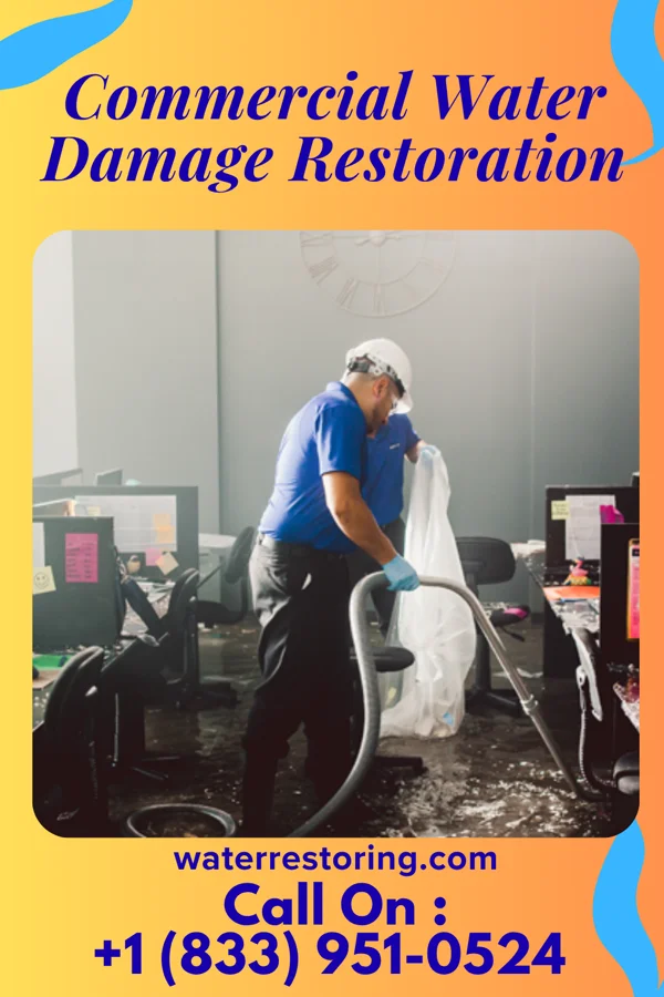 Commercial Water Damage Restoration in Marysville, WA