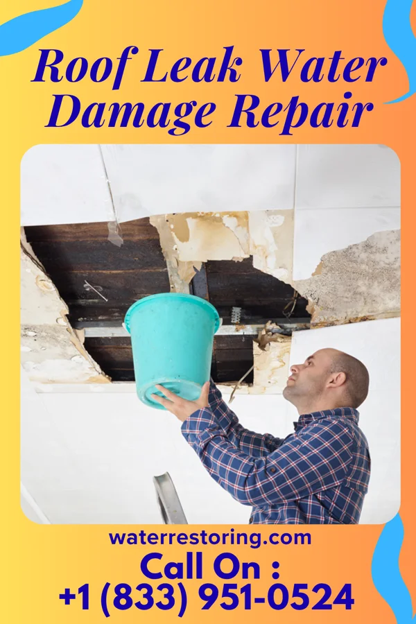 Roof Leak Water Damage Repair in Marysville, WA